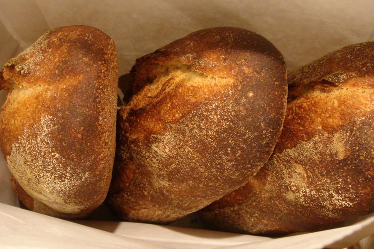 Norwich Sourdough batards