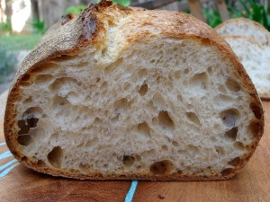 norwich sourdough crumb