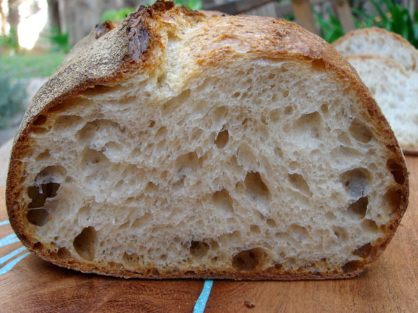 norwich-sourdough-crumb-wild-yeast