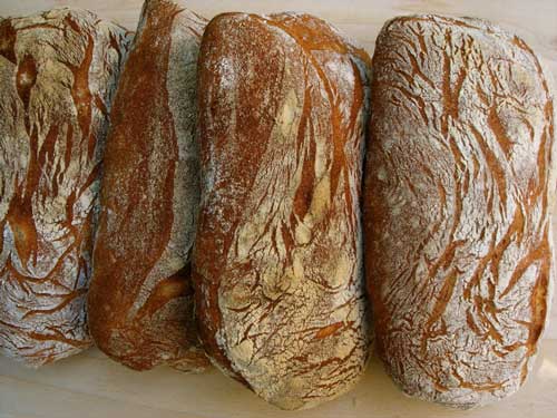 Ciabatta Loaves