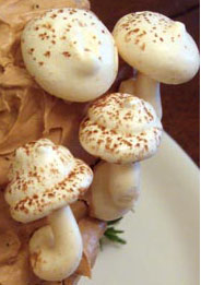 Yule log meringue mushrooms closeup
