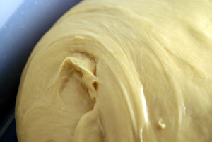 brioche dough