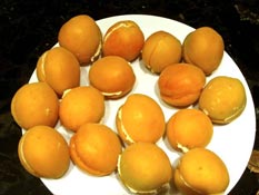 filled-apricots