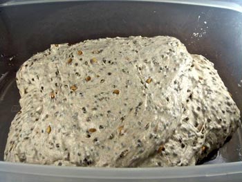 spelt-hempseed dough