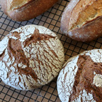 Two Sourdoughs