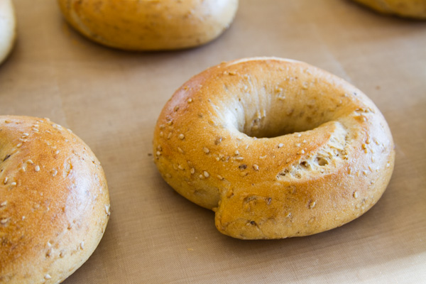 sourdough-sesame-bagels-1-wild-yeast-600