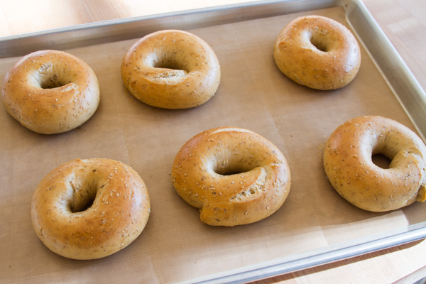 sourdough-sesame-bagels-2-wild-yeast