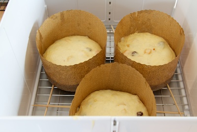 Mini Panettone - Kenwood Recipes