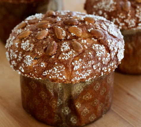 homemade panettone - The Baking Fairy