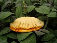 BBB Tuniian Spicy Breads