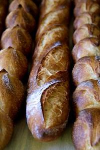 Baguettes with Poolish