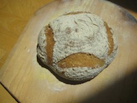 Whole wheat herbed buttermilk biga bread