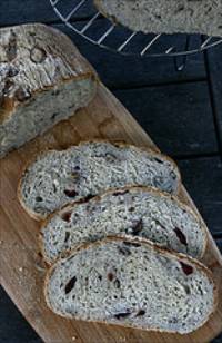 Rustic Pecan and Cranberry country bread