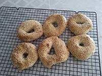 Bagels