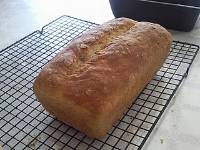 Clayton's Oatmeal Sourdough