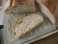 Batard with Spelt