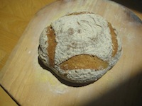 Jeffrey Hamelman's Corn Bread