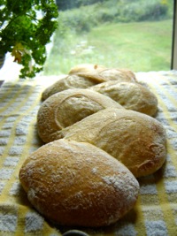 Crusty Sourdough Épis de Blé