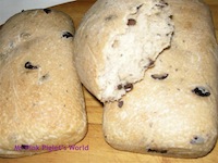 Kalamata Olives and Greek Yoghurt Loaves