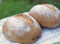 Multi Grain Sandwich Bread