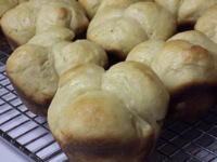 Soft Butter Cloverleaf Rolls