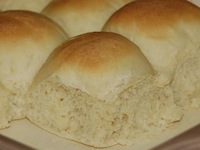 Greek Yogurt Yeast Rolls