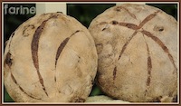 Cranberry-Hazelnut Whole Wheat Bread