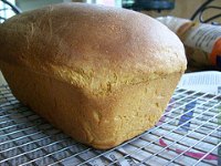 Semolina Sandwich Loaf