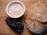 Wild Yeast Sourdough