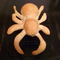 Sourdough Spider