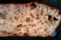 Ciabatta