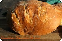 Cheddar Serrano Bread