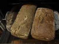 Wholemeal loaves with cooked wheat