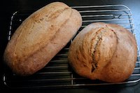 Sourdough peasant loaves