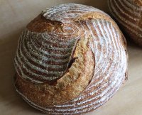 Bread Crumb Sourdough