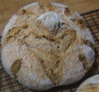 Pumpkin seed sourdough bread