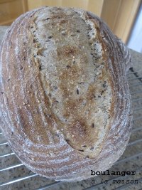 Multigrain whole-wheat sourdough