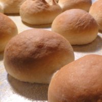 Simple Dinner Rolls