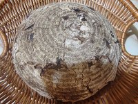 Cranberry Rye Whole Rye Bread with Altus