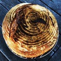 No Knead Sourdough Bread