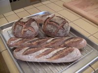 Country Sourdough Baguettes and Boules