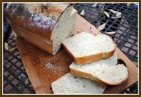 Sour Cream Sandwich Bread