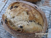 Golden Raisin Sourdough