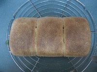 Maple Oat Bread