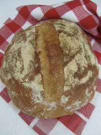 Flavorful Bread Wheat