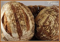 Local Loaf (Hazelnut Cider Barley Bread)