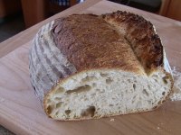 San Francisco Country Sourdough