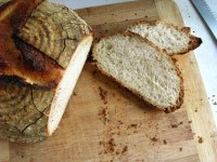 Wisconsin Sourdough