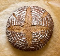 Whole Wheat Sourdough