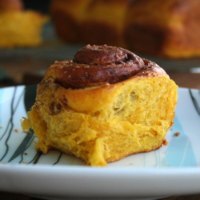 Cinnamon Pumpkin Brioche Snails